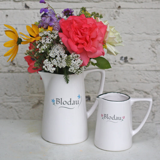 Welsh Flower Names - Learn the Welsh Names for These Pretty Flowers