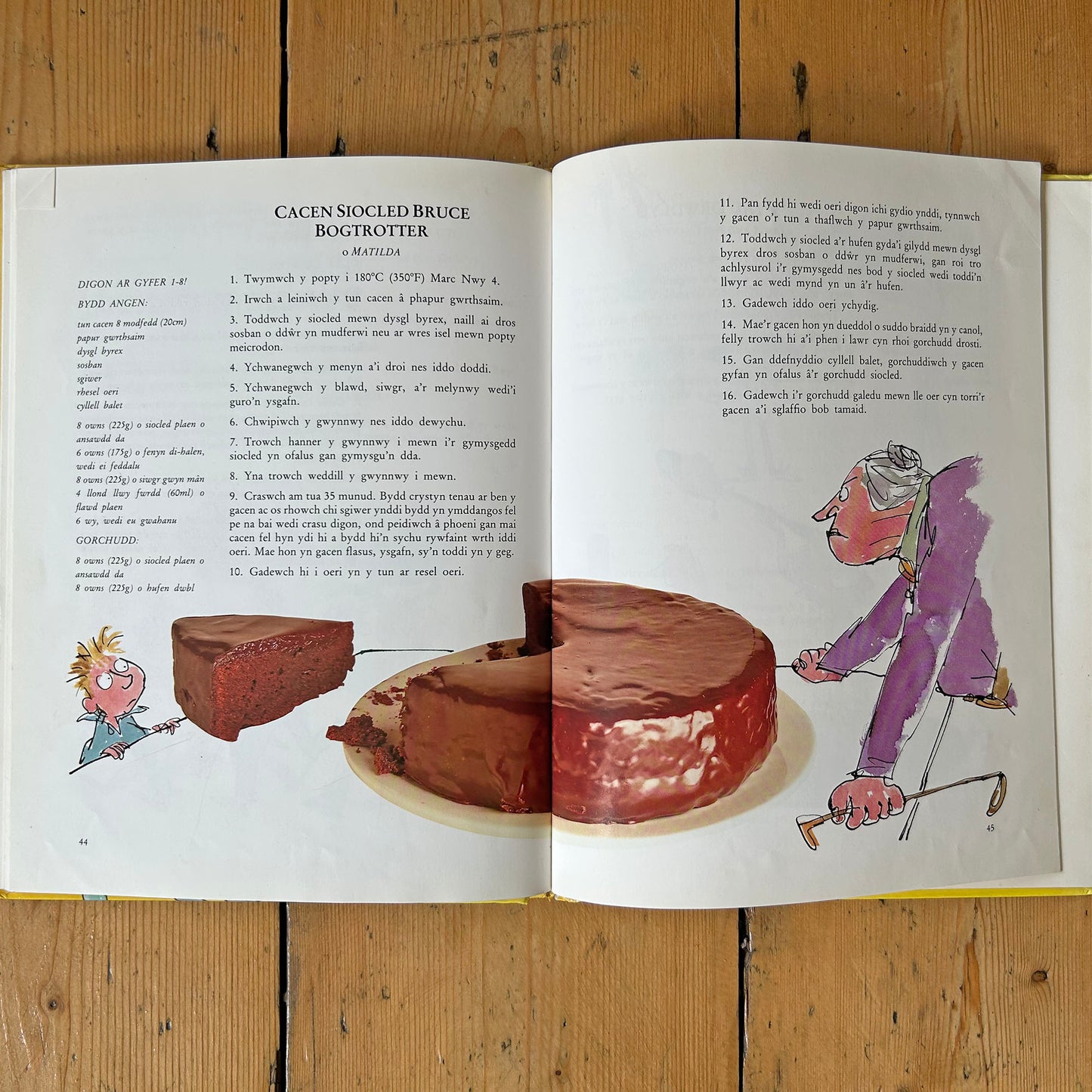 Bwydydd ych-y-pych - Roald Dahl's Revolting Recipes - Welsh (Preloved)