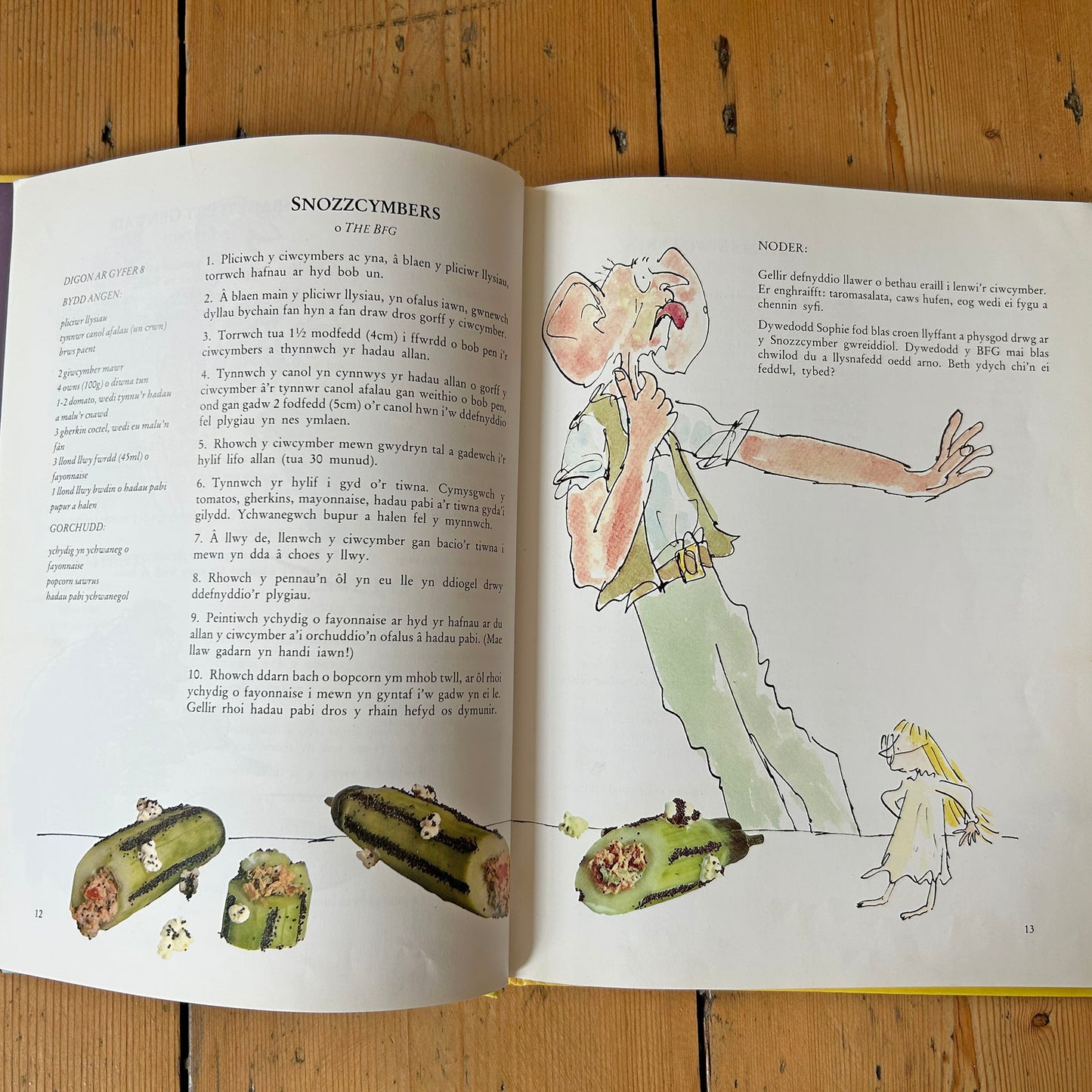 Bwydydd ych-y-pych - Roald Dahl's Revolting Recipes - Welsh (Preloved)