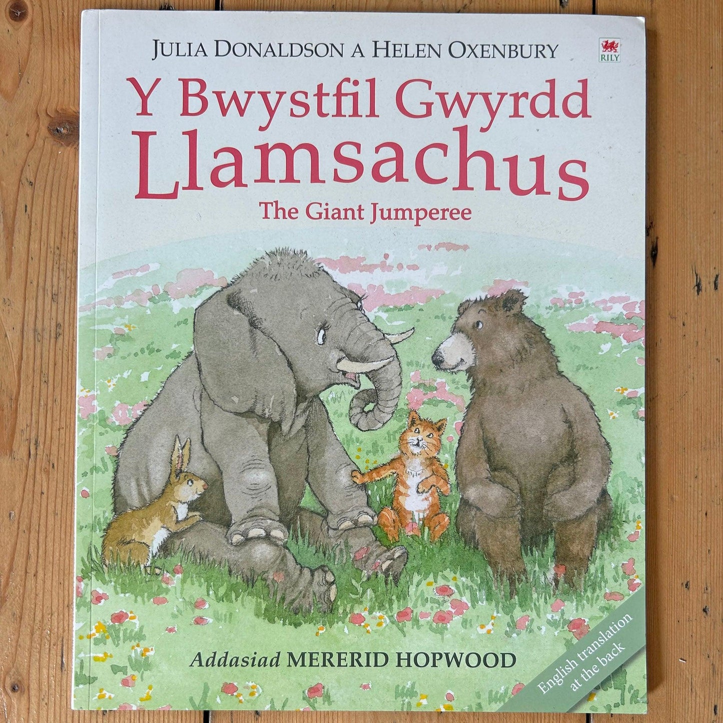 Bwystfil Gwyrdd Llamsachus - Julia Donaldson (Preloved)