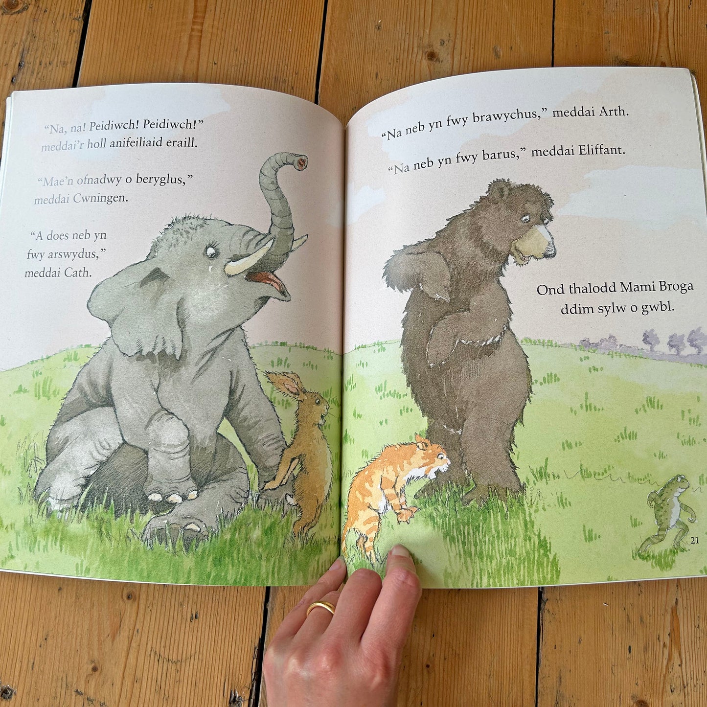 Bwystfil Gwyrdd Llamsachus - Julia Donaldson (Preloved)