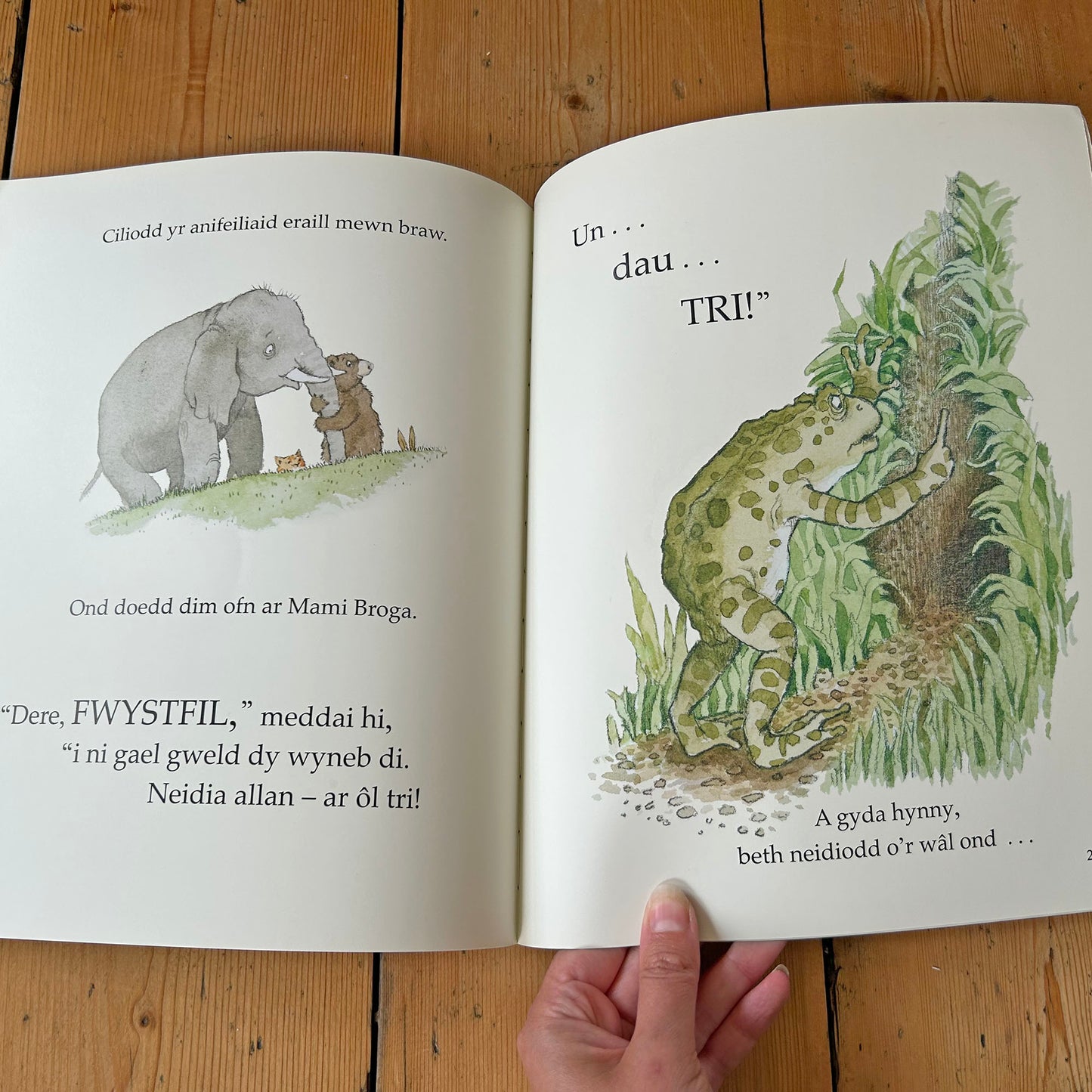 Bwystfil Gwyrdd Llamsachus - Julia Donaldson (Preloved)