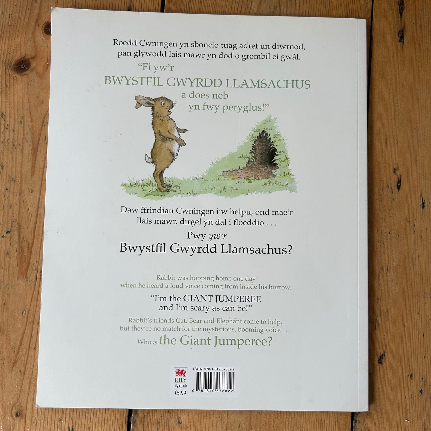 Bwystfil Gwyrdd Llamsachus - Julia Donaldson (Preloved)