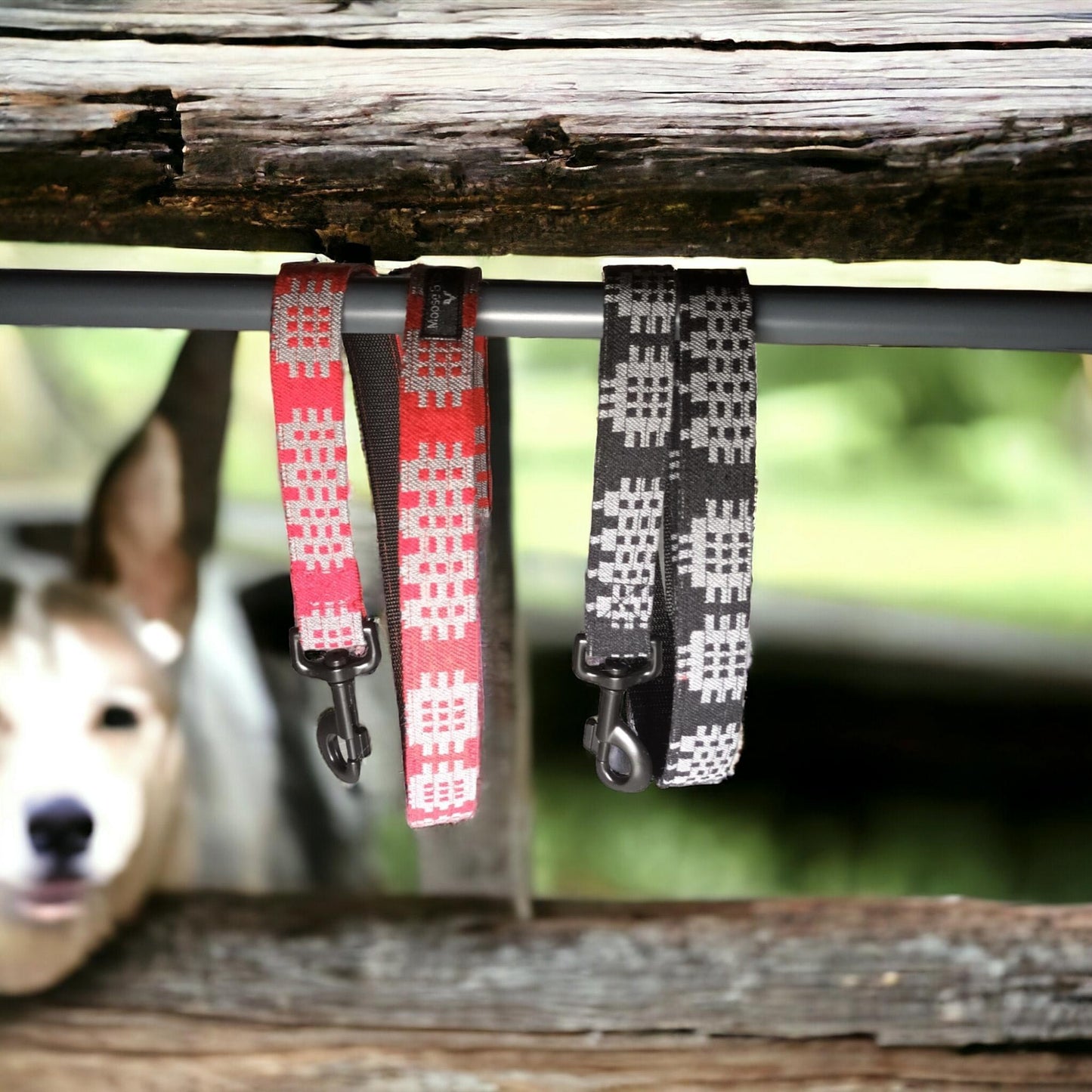 Dog Lead - Welsh Tapestry Print