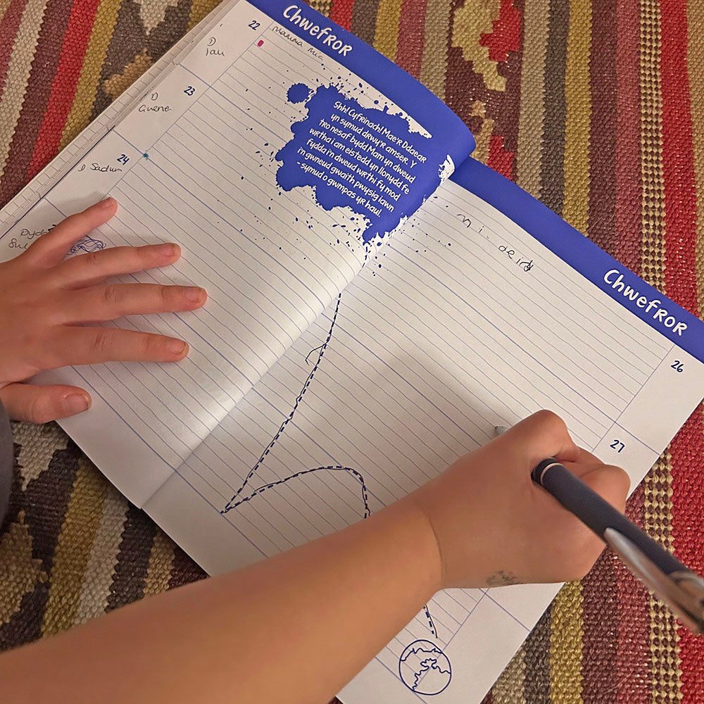 Dyddiadur Nel - Welsh Children's Diary