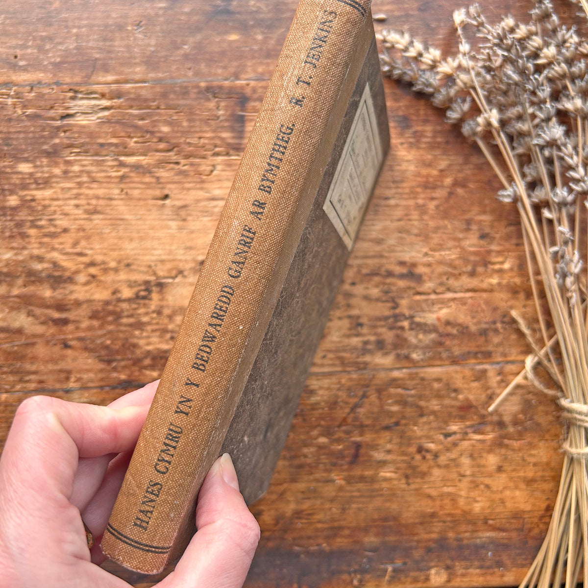 Hanes Cymru yn y Bedwaredd Ganrif ar Bymtheg - 1933 (Preloved)