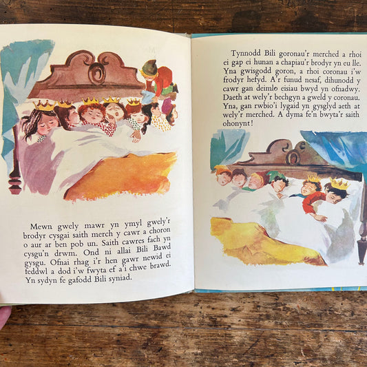 Bili Bawd - Jennie Eirian Davies 1961 (Preloved)