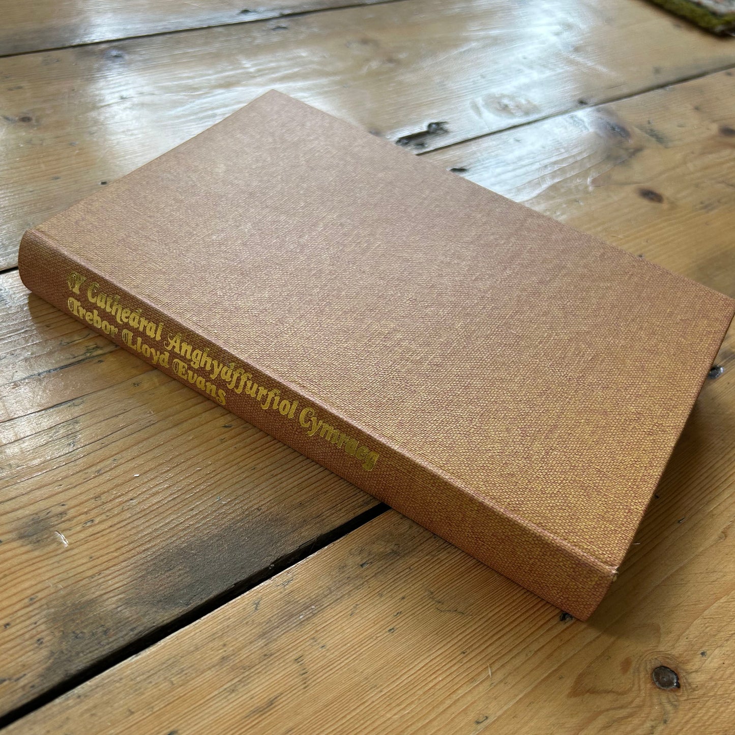 Y Cathedral Anghydffurfiol Cymraeg - Welsh Language - Vintage (Preloved)