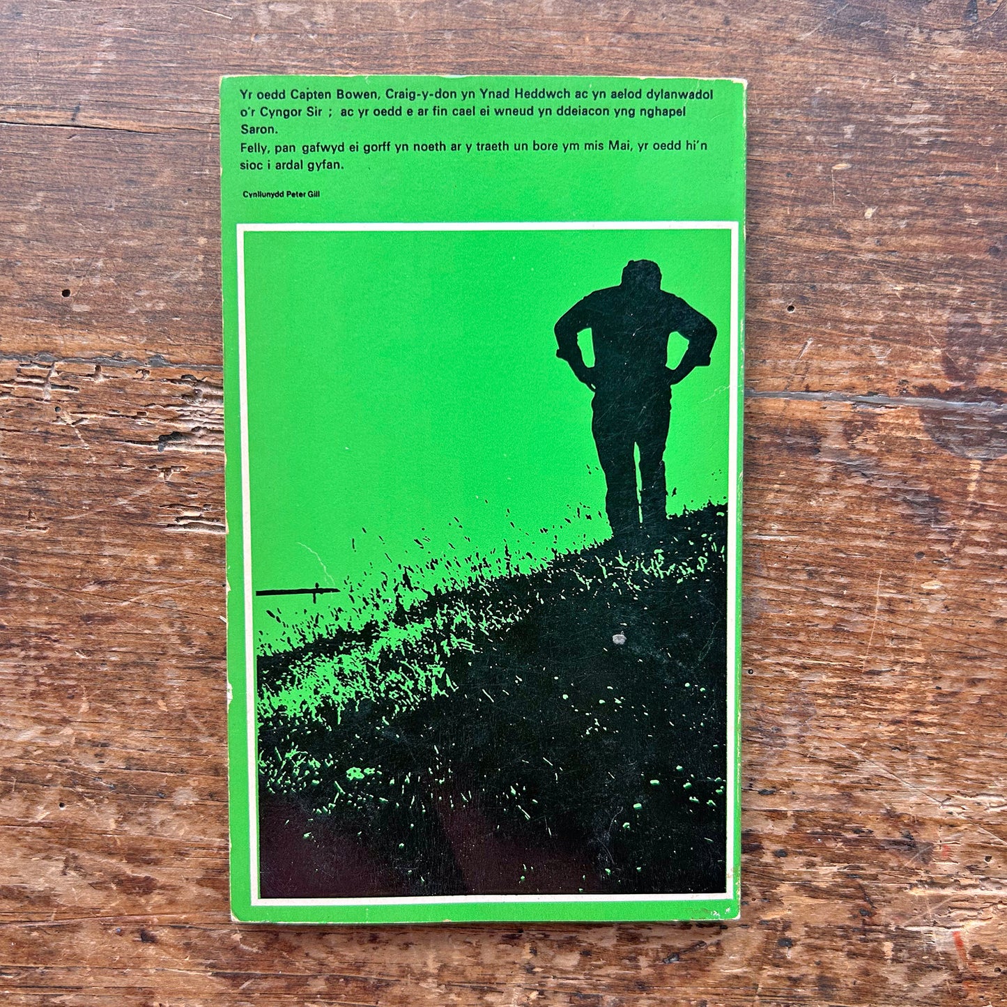 Y Corff ar y Traeth - T Llew Jones 1970 (Preloved)