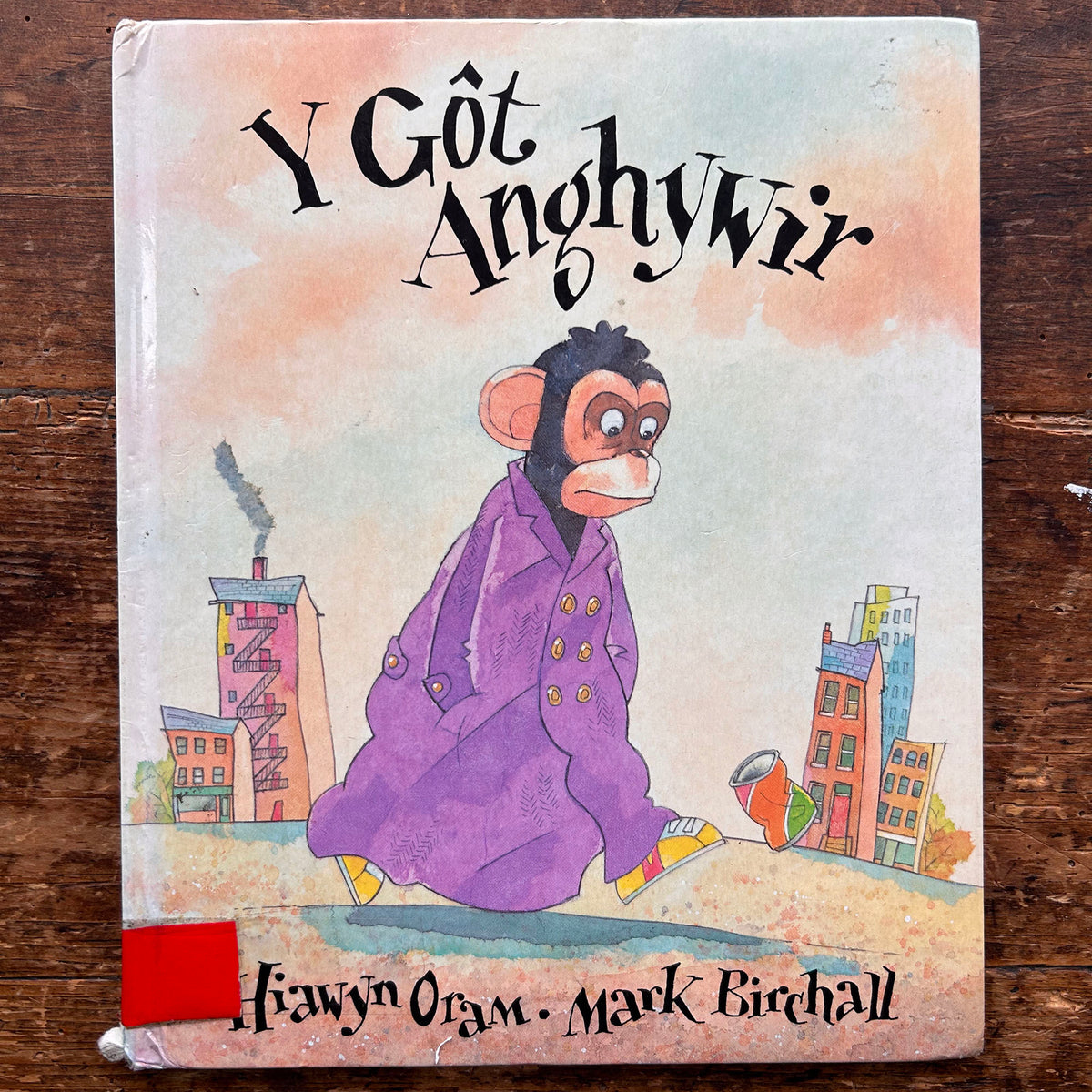 Y Gôt Anghywir - Hiawyn Oram - 1999 (Preloved)
