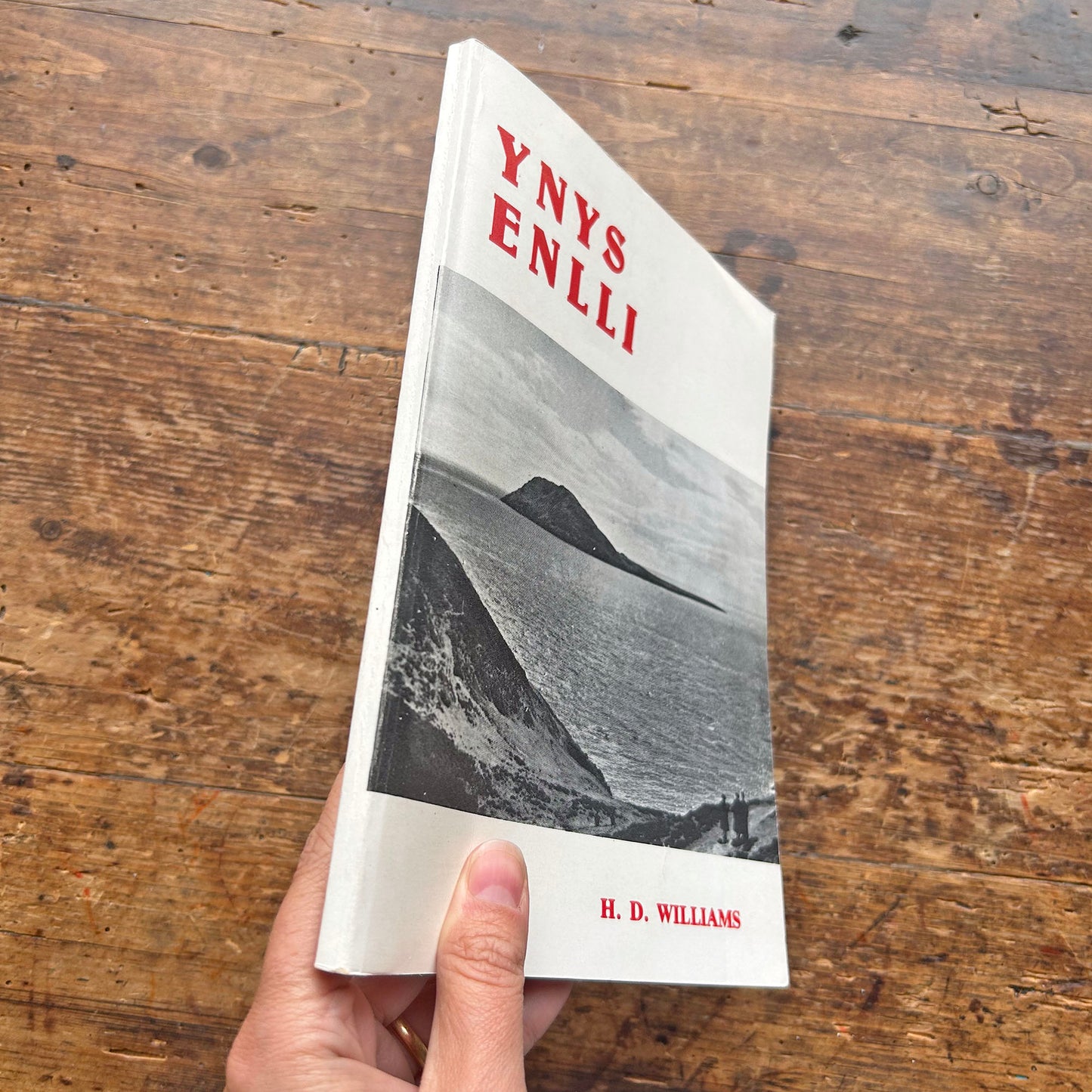 Ynys Enli - H. D Williams - Vintage Travel Book (Preloved)