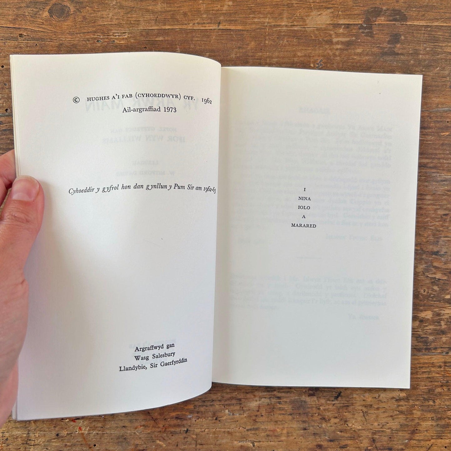 Yr Arwr Main - Ivor Wyn Williams - 1973 (Preloved)