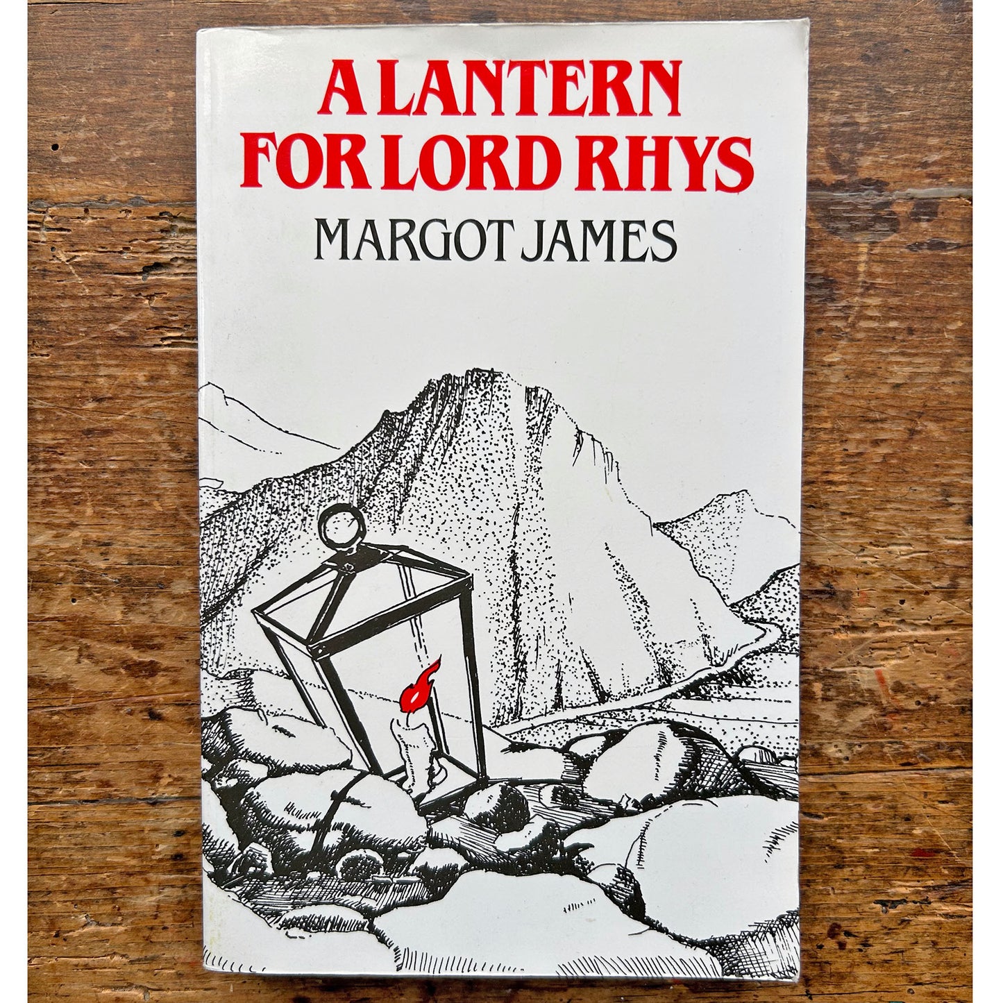 A Lantern for Lord Rhys - Margot James (Preloved)