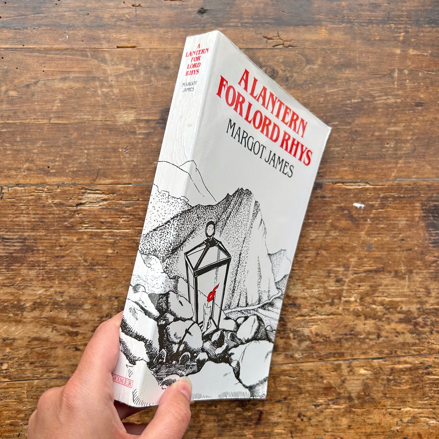 A Lantern for Lord Rhys - Margot James (Preloved)