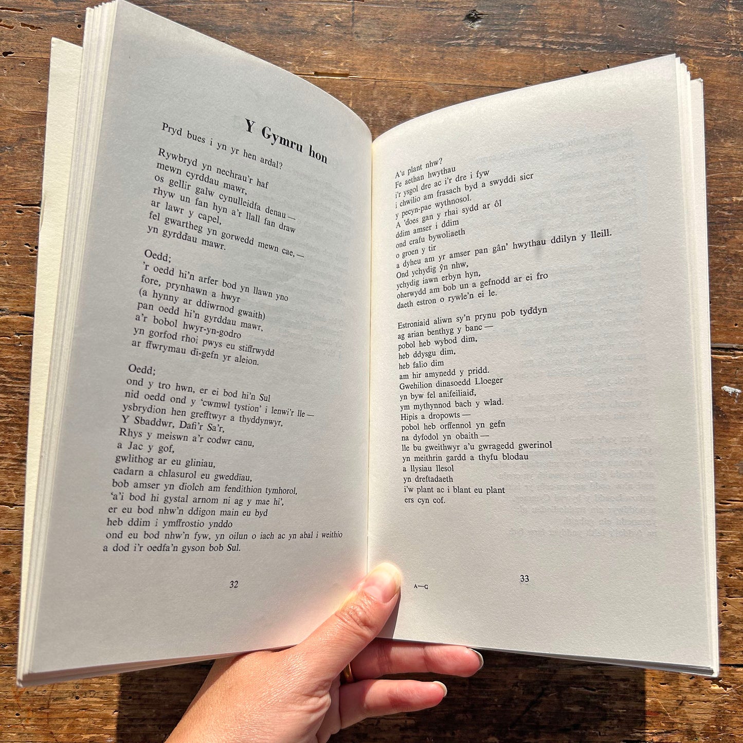 Adledd - Casgliad o Gerddi Leslie Richards (Preloved)