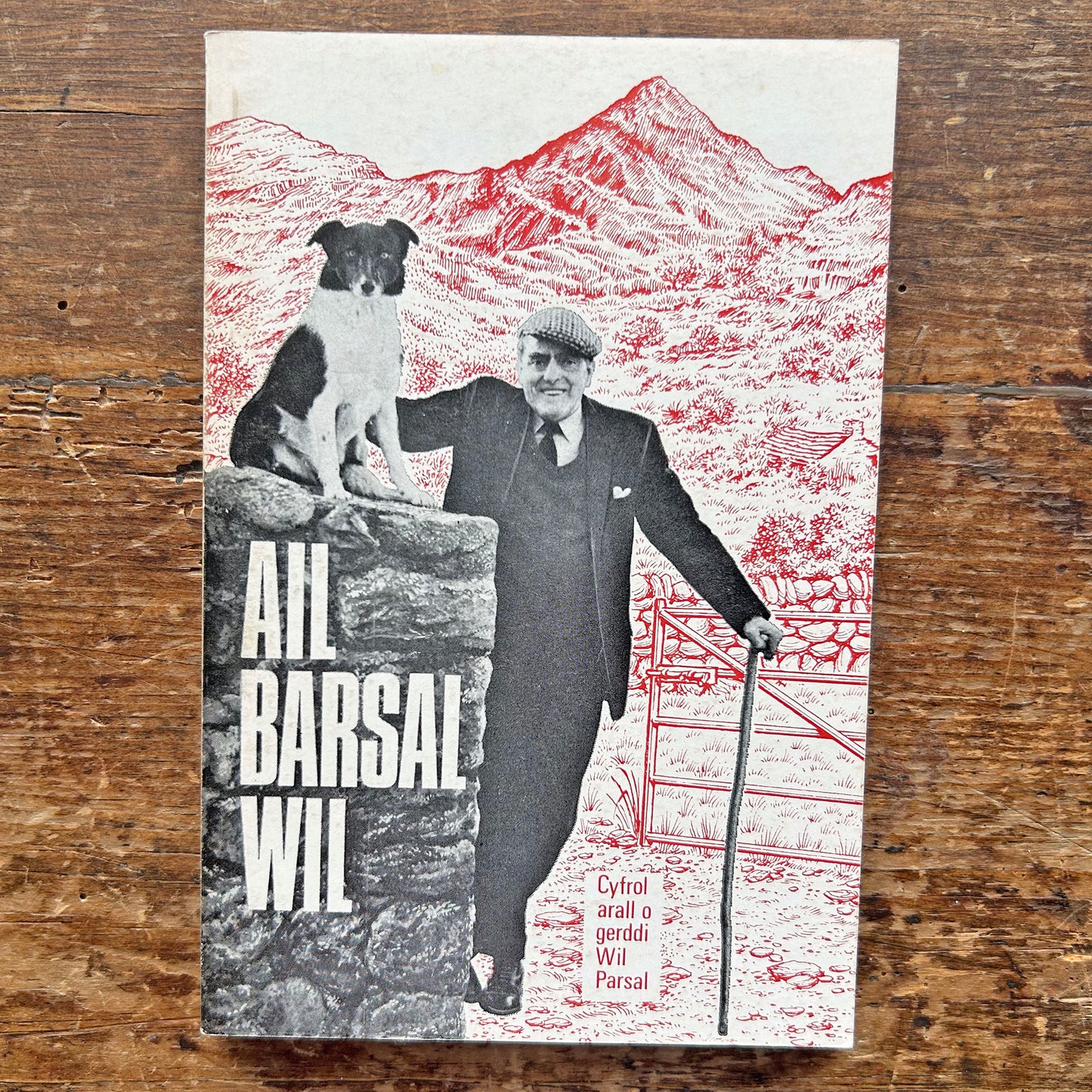 Ail Barsal Wil - Wil Parsal Poetry 1973 (Preloved)