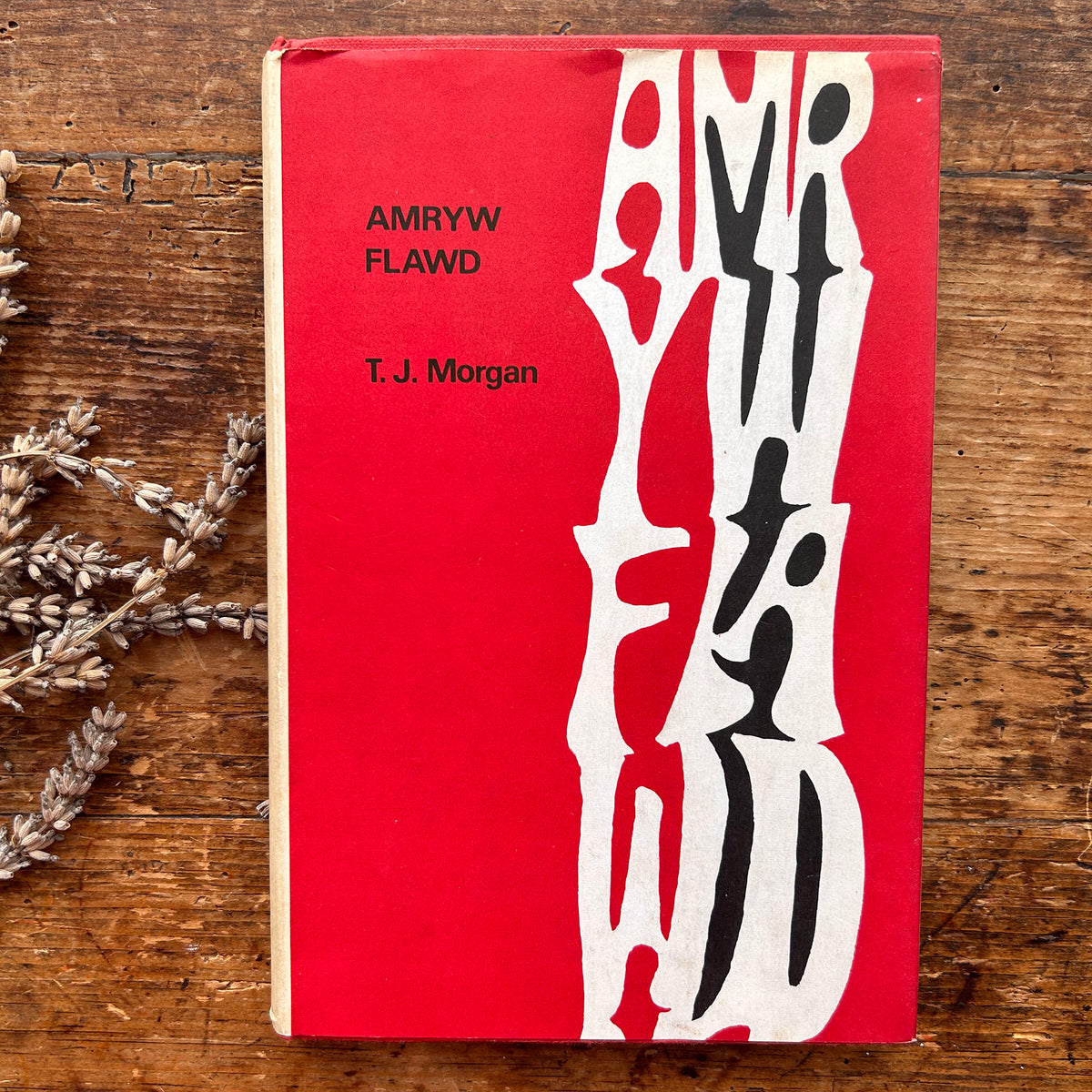 Amryw Flawd - Ysgrifau ac Ystoriau - T. J. Morgan - 1966 1st edition (Preloved)