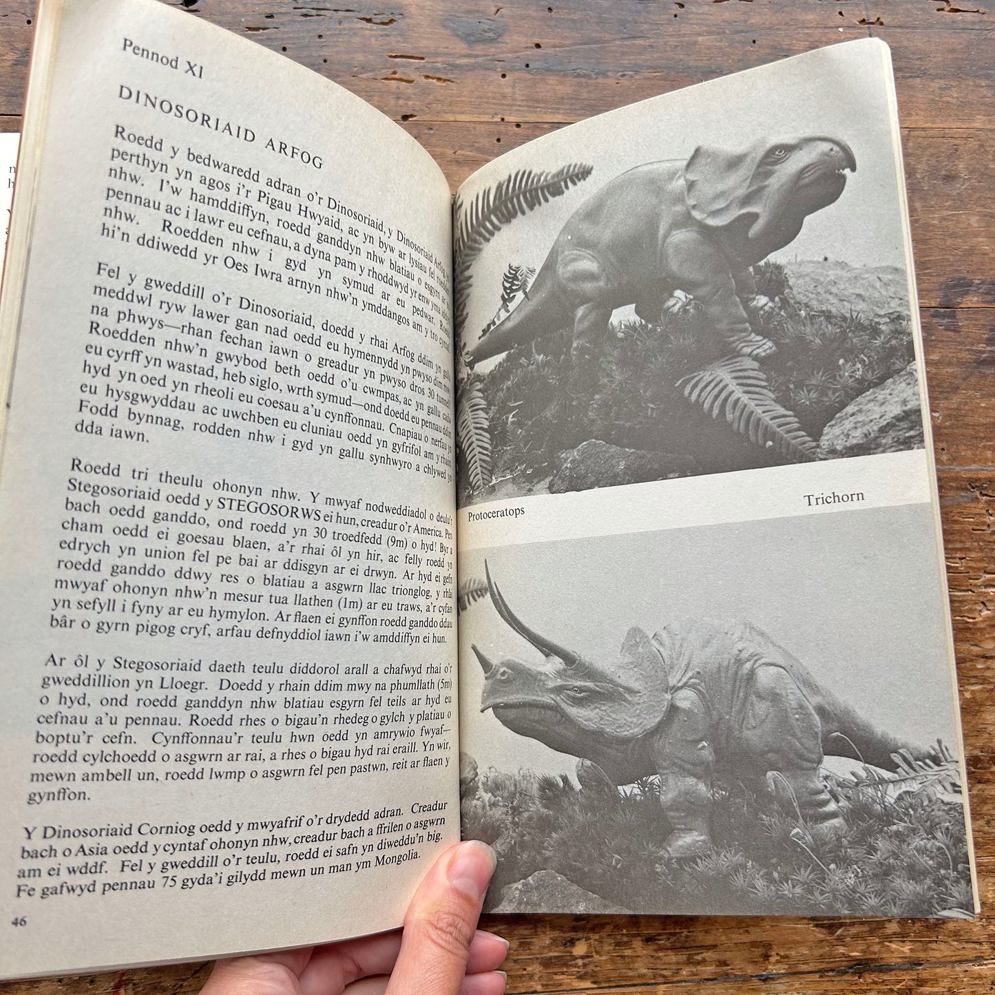 Amser Maith un Ôl - Vintage Welsh Science Book (Preloved)