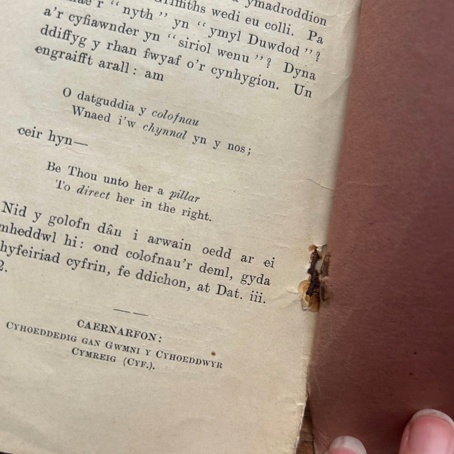 Ann Griffiths: Ei Hanes a'i Hemynau - Elfed (Preloved)