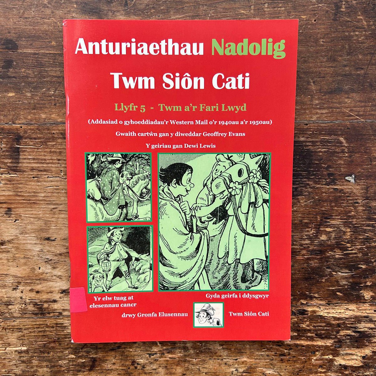 Anturiaethau NADOLIG Twm Sion Cati: Llyfr 5 - Twm a'r Fari Lwyd - Dewi Lewis (Preloved)