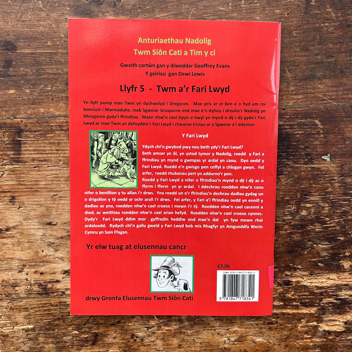 Anturiaethau NADOLIG Twm Sion Cati: Llyfr 5 - Twm a'r Fari Lwyd - Dewi Lewis (Preloved)