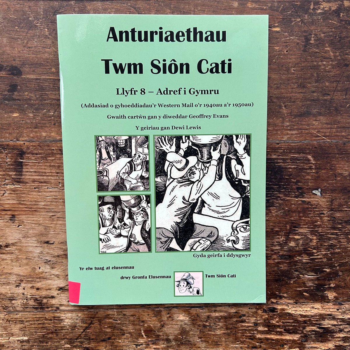 Anturiaethau Twm Sion Cati: Llyfr 8 - Adref i Gymru - Dewi Lewis (Preloved)