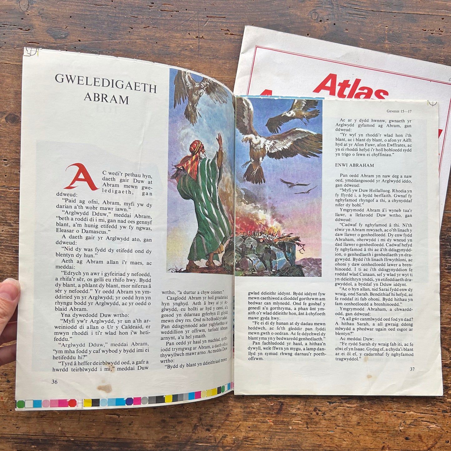 Atlas Astudiaethau Crefyddol / Atlas of Religious Studies (Preloved)