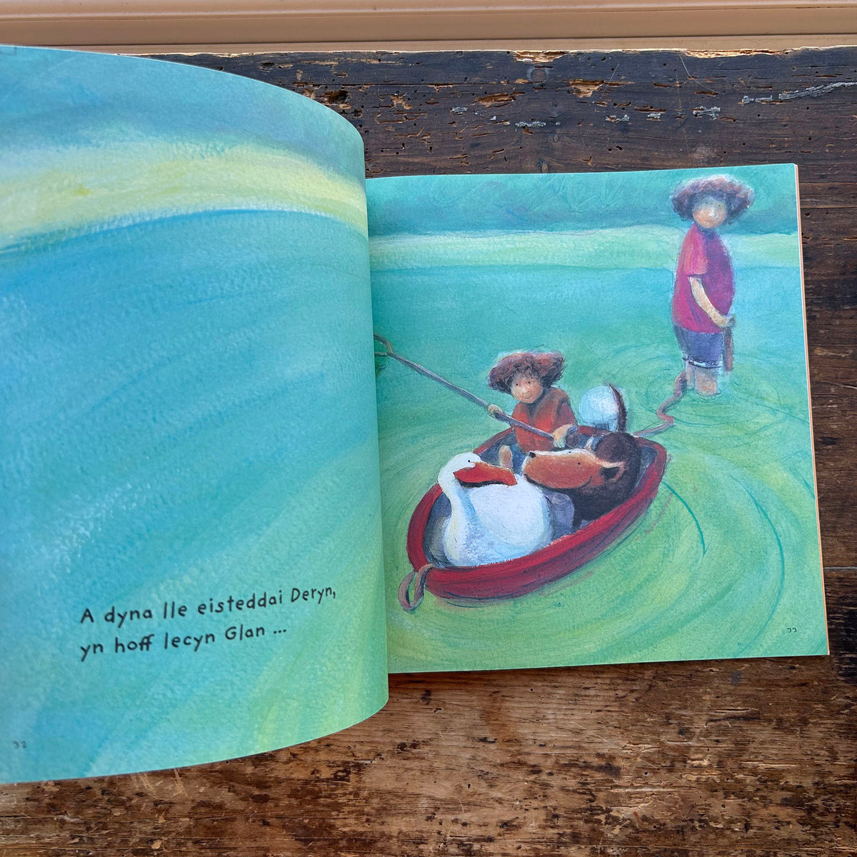 Awel a Glan a'u Ffrind Newydd - Jane Simmons (Preloved)