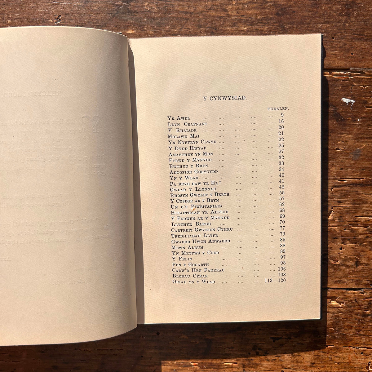 Awel a Heulwen - Anthropos - 1901 (Preloved)