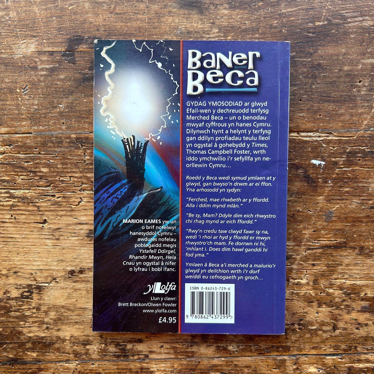 Banner Beca - Marion Eames - Wedi'i lofnodi gan yr awdur (Wedi'i ail-garu)