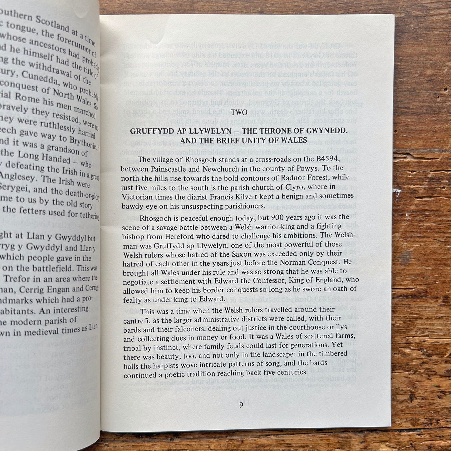 Battles in Wales - Herbert Williams - 1975 (Preloved)