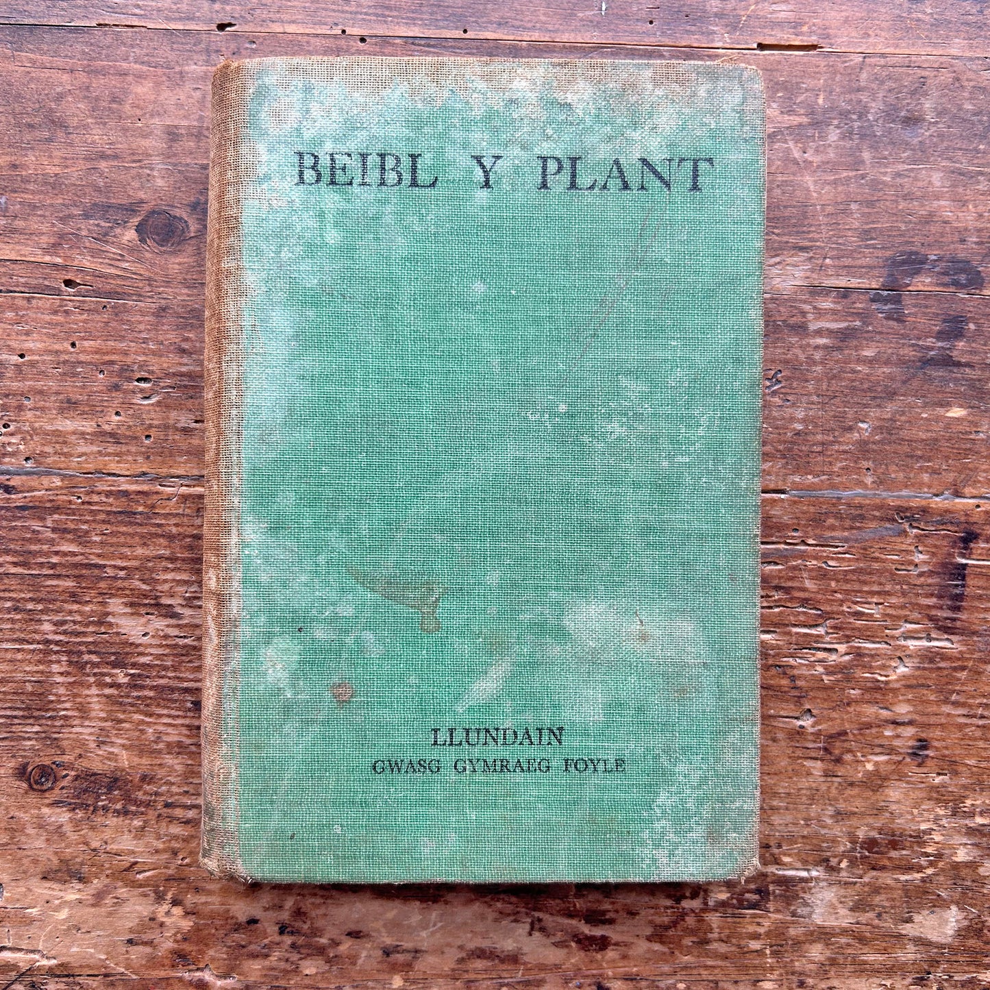 Beibl Y Plant - Welsh Children's Bible - 1929 (Preloved)