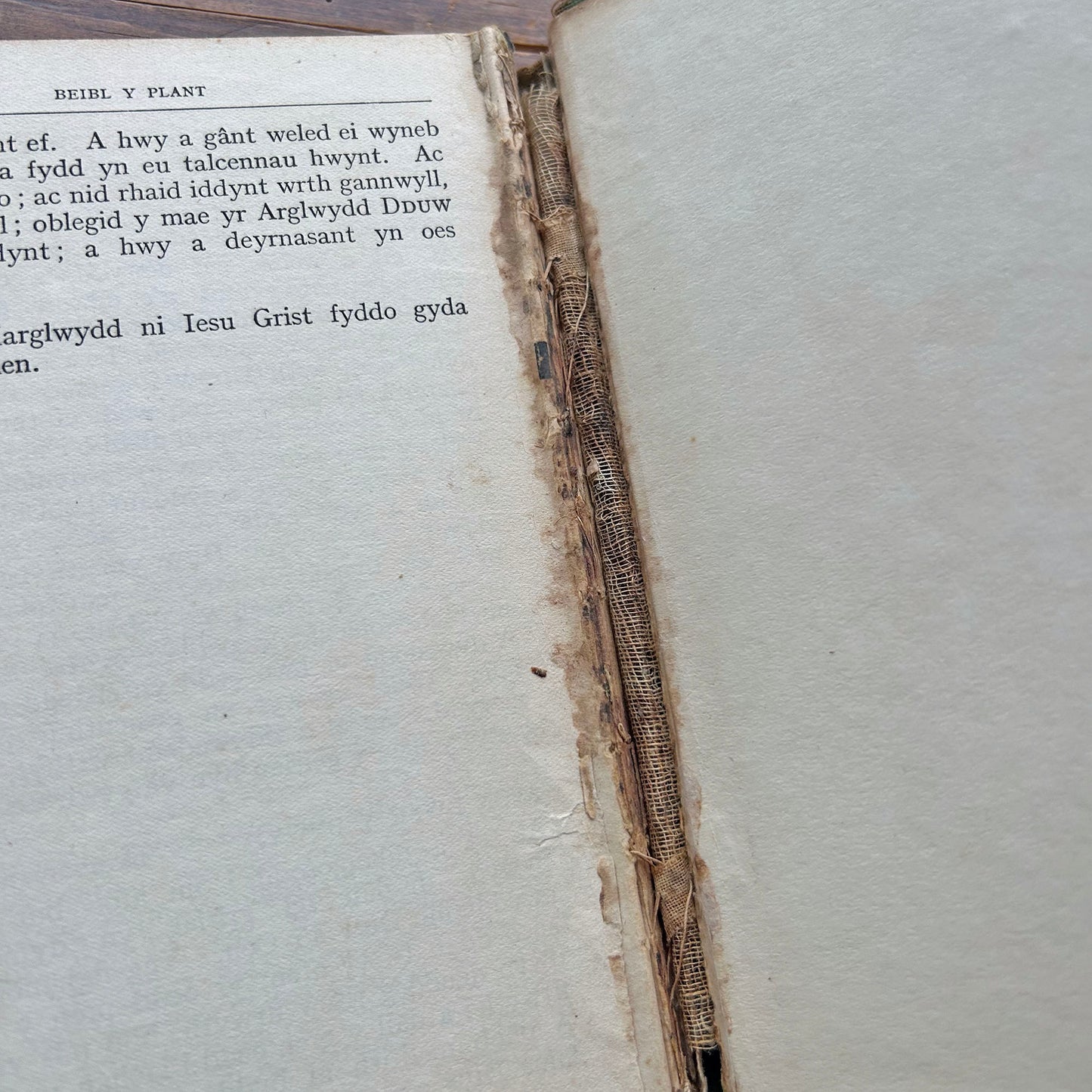 Beibl Y Plant - Welsh Children's Bible - 1929 (Preloved)