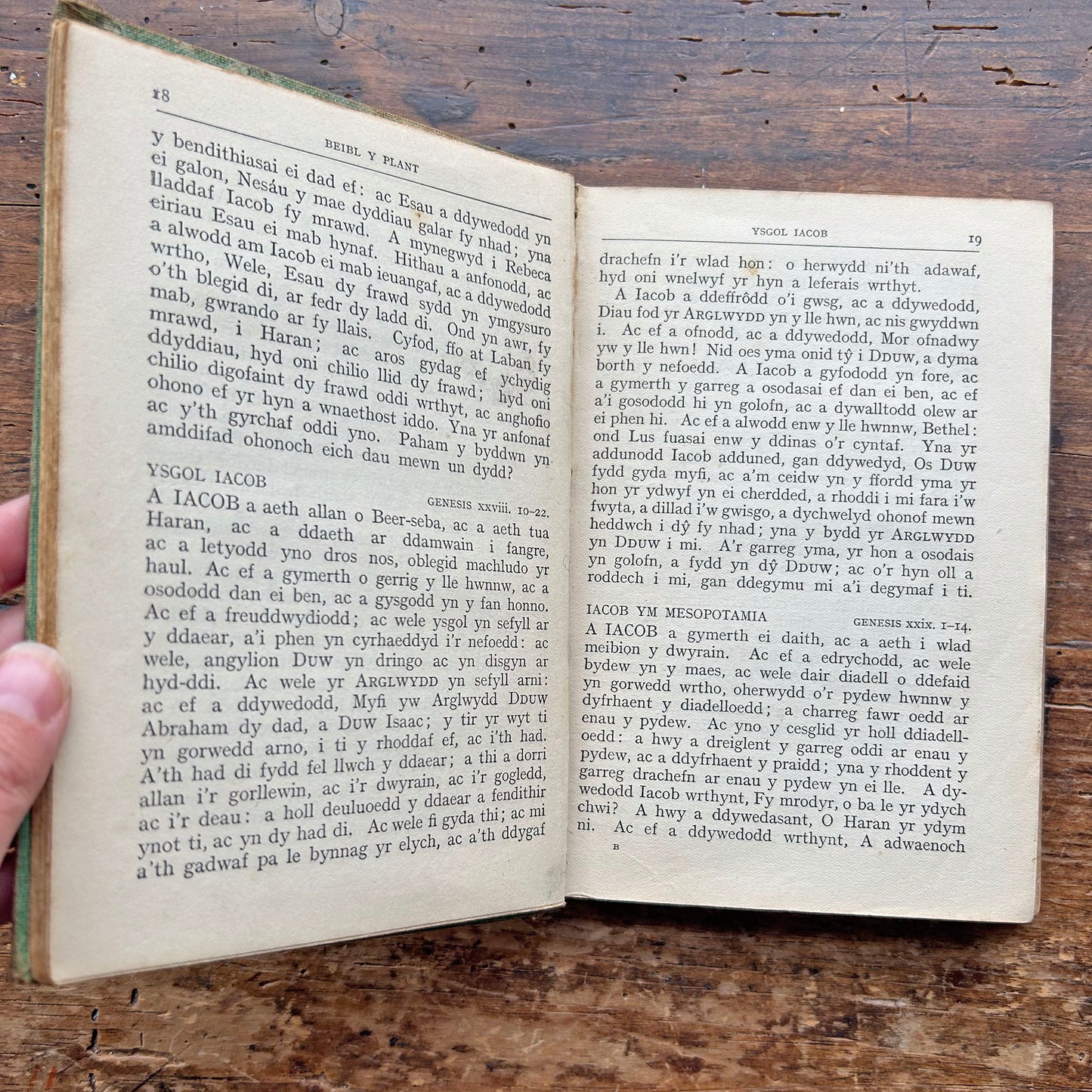 Beibl Y Plant - Welsh Children's Bible - 1929 (Preloved)