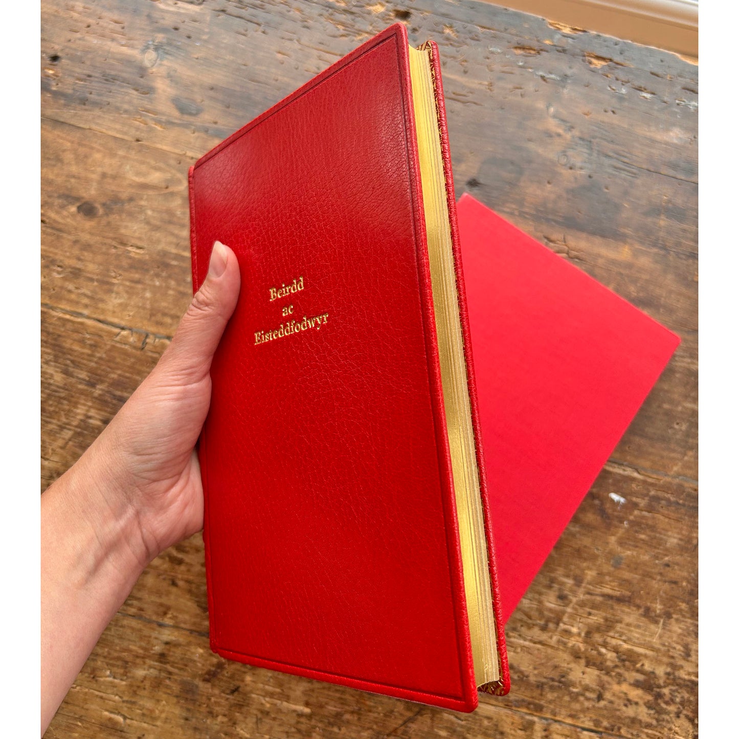Beirdd ac Eisteddfodwyr - Stephen J. Williams - Like New (Preloved)