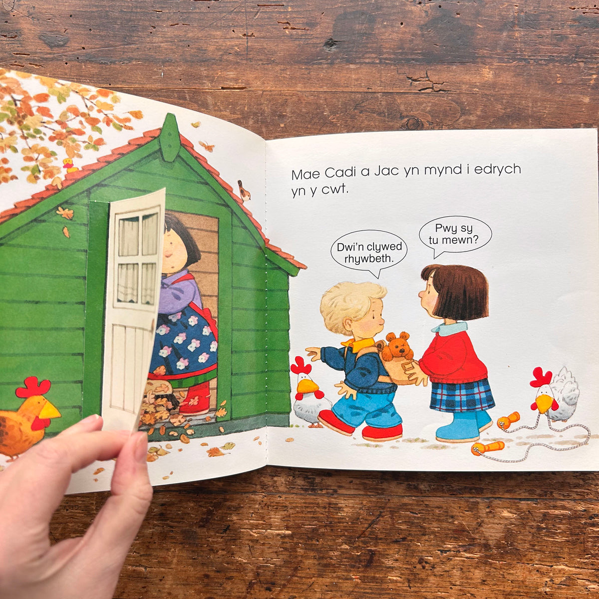 Ble Mae Gwalch? Llyfr Codi Llabed Cae Berllan (Preloved)