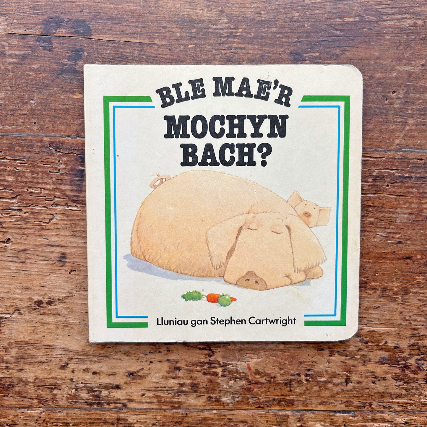 Ble Mae'r Mochyn Bach - Cyfres Chwilio - Stephen Cartwright 1983 (Preloved)