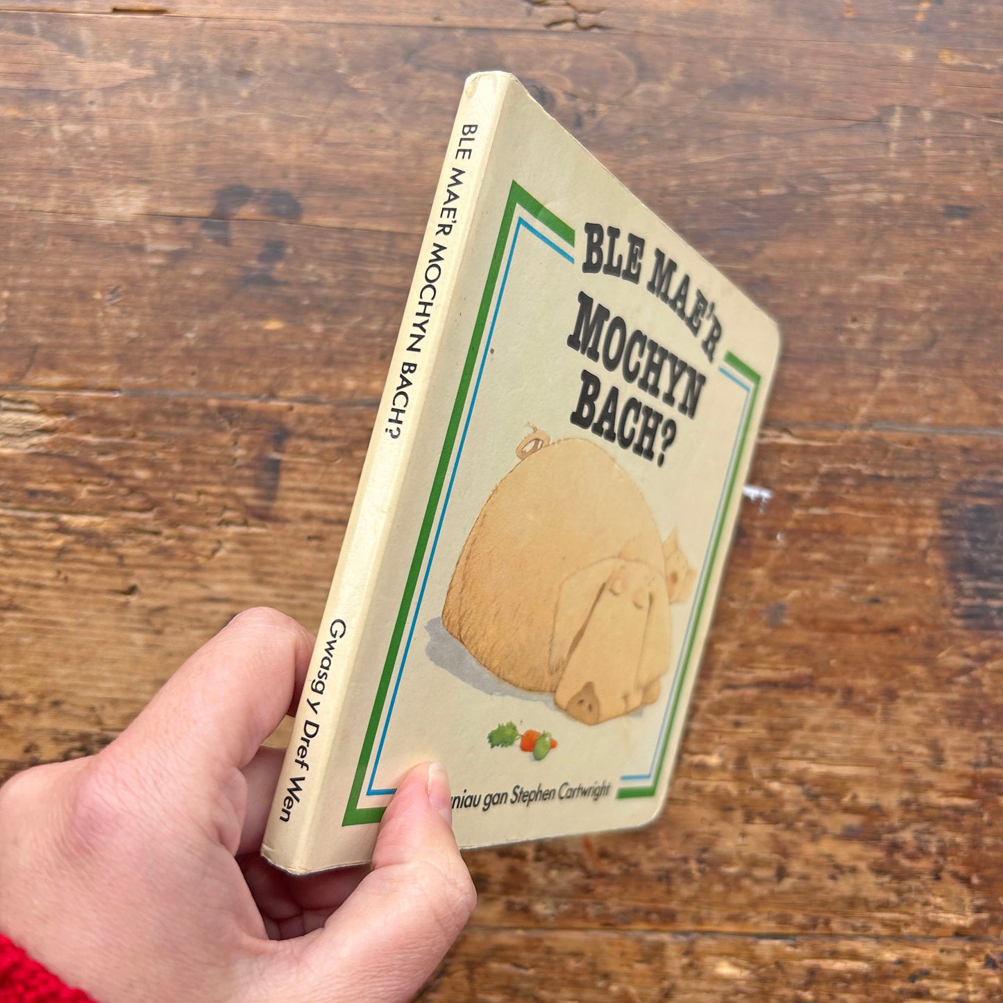 Ble Mae'r Mochyn Bach - Cyfres Chwilio - Stephen Cartwright 1983 (Preloved)