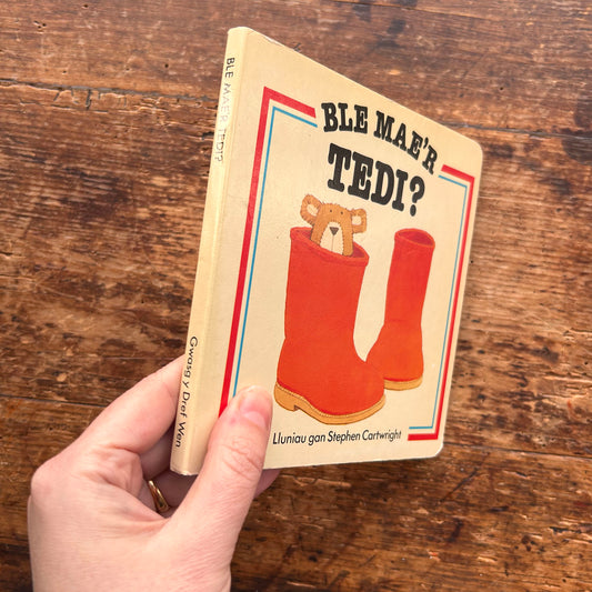 Ble Mae'r Tedi? Stephen Cartwright 1985 (Preloved)