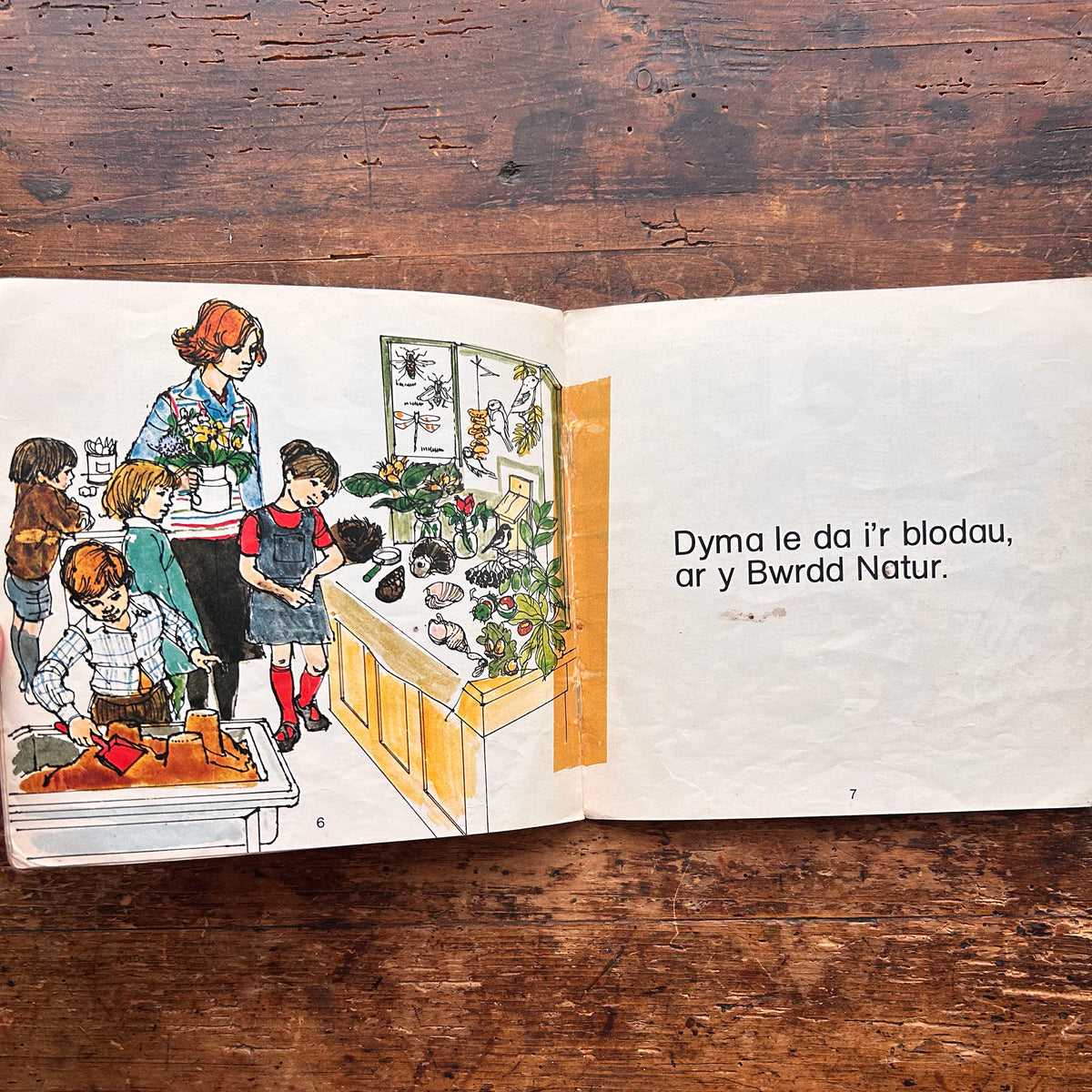 Blodau - Cyfres y Ddraig - Vintage Welsh Book 1978 (Preloved)