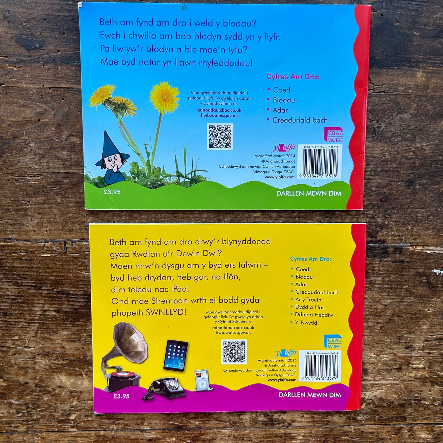 Blodau & Ddoe a Heddiw - Cyfres am Dro (Preloved)