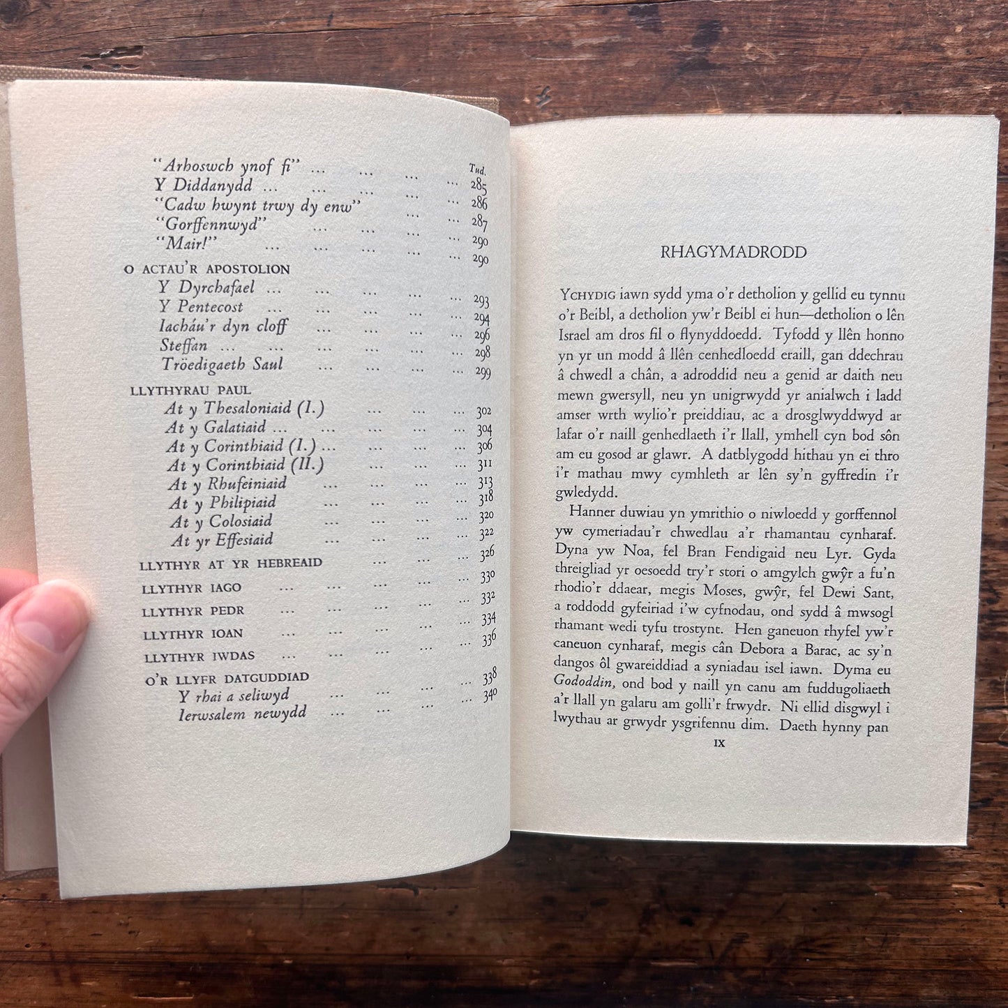 Blodeugerdd Feiblaidd - E. Tegla Davies - 1939 (Preloved)