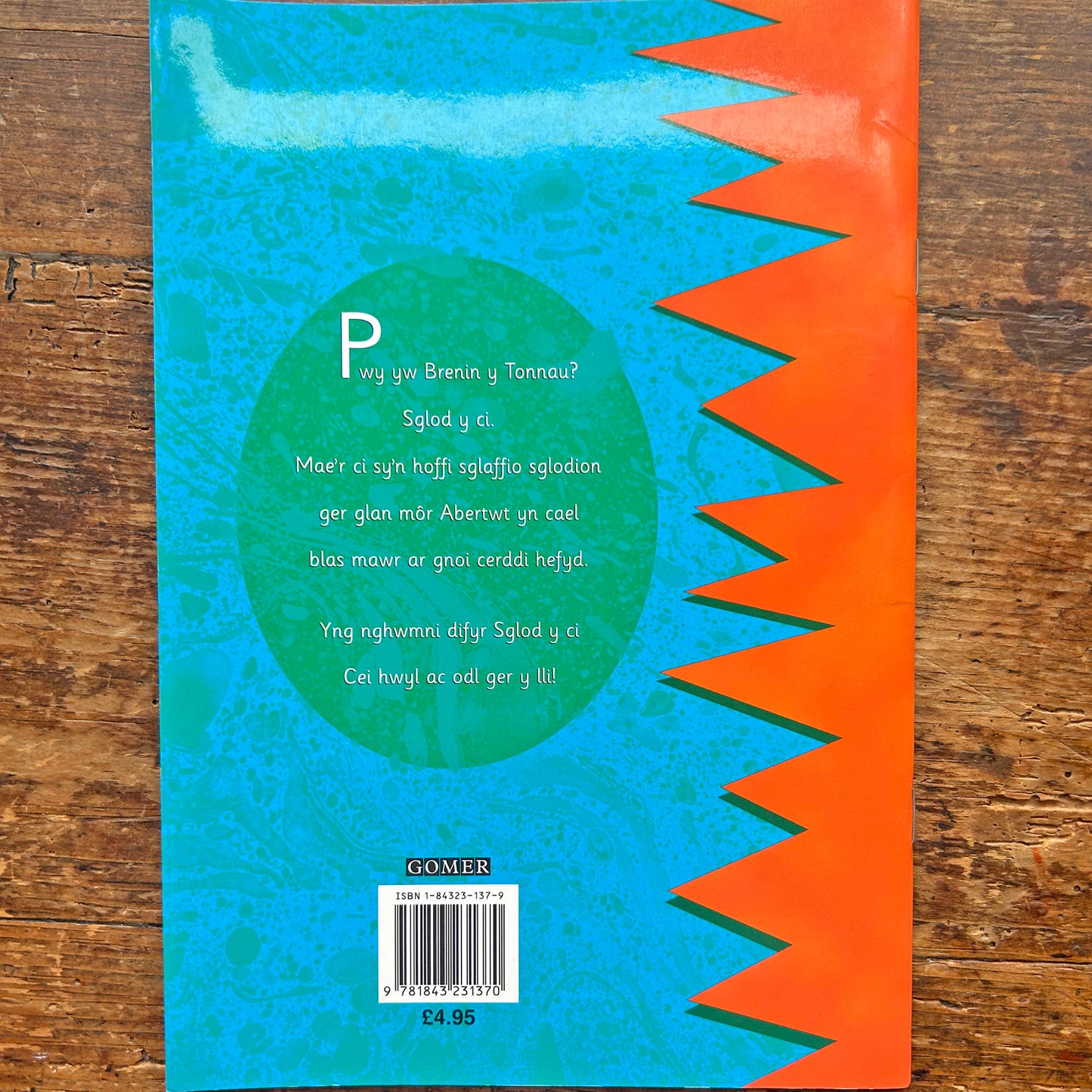 Brenin y Tonnau - Hoff Gerddi Sglod - Cyfres Llyffantod (Preloved)