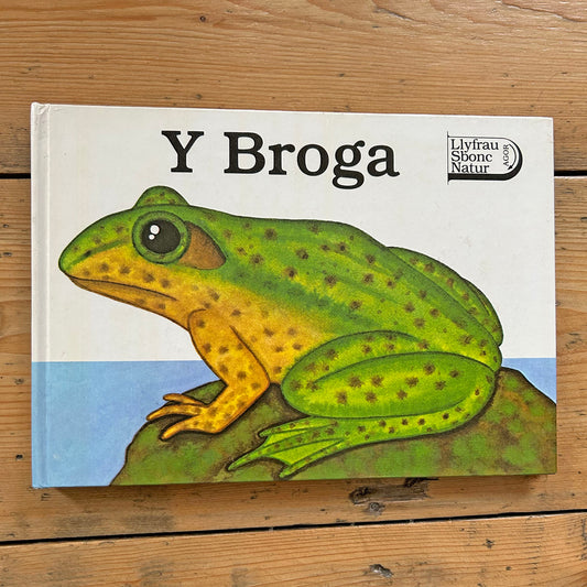 Y Broga - The Frog - Vintage Pop Up Book (Preloved)