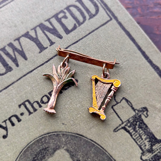 Brooch - Vintage - Welsh Harp and Leek (Preloved)