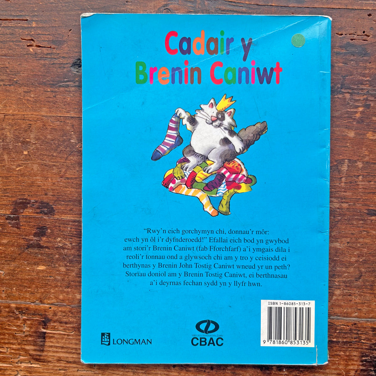 Cadair y Brenin Caniwt - Agnes S.P. Szudek - 1998 (Preloved)