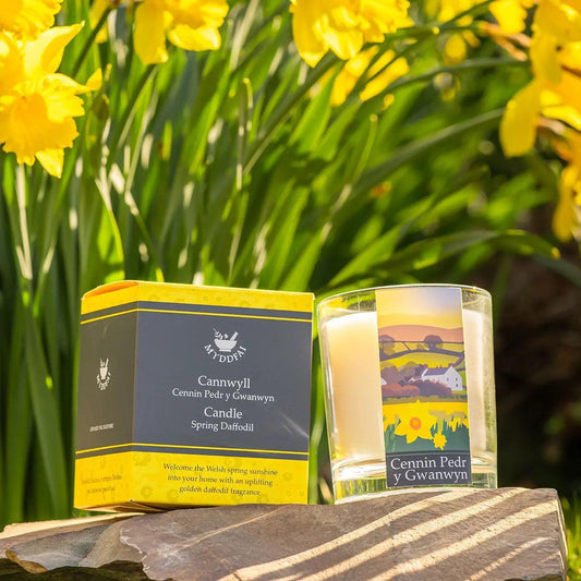 Candle - Myddfai - Spring Daffodil / Cennin Pedr y Gwanwyn