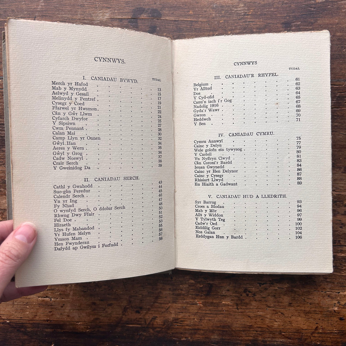 Caniadau'r Allt - Eifion Wyn - 1927 (Preloved)
