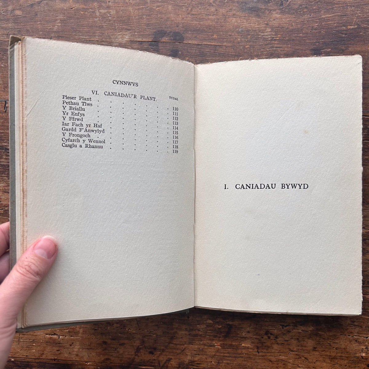 Caniadau'r Allt - Eifion Wyn - 1927 (Preloved)