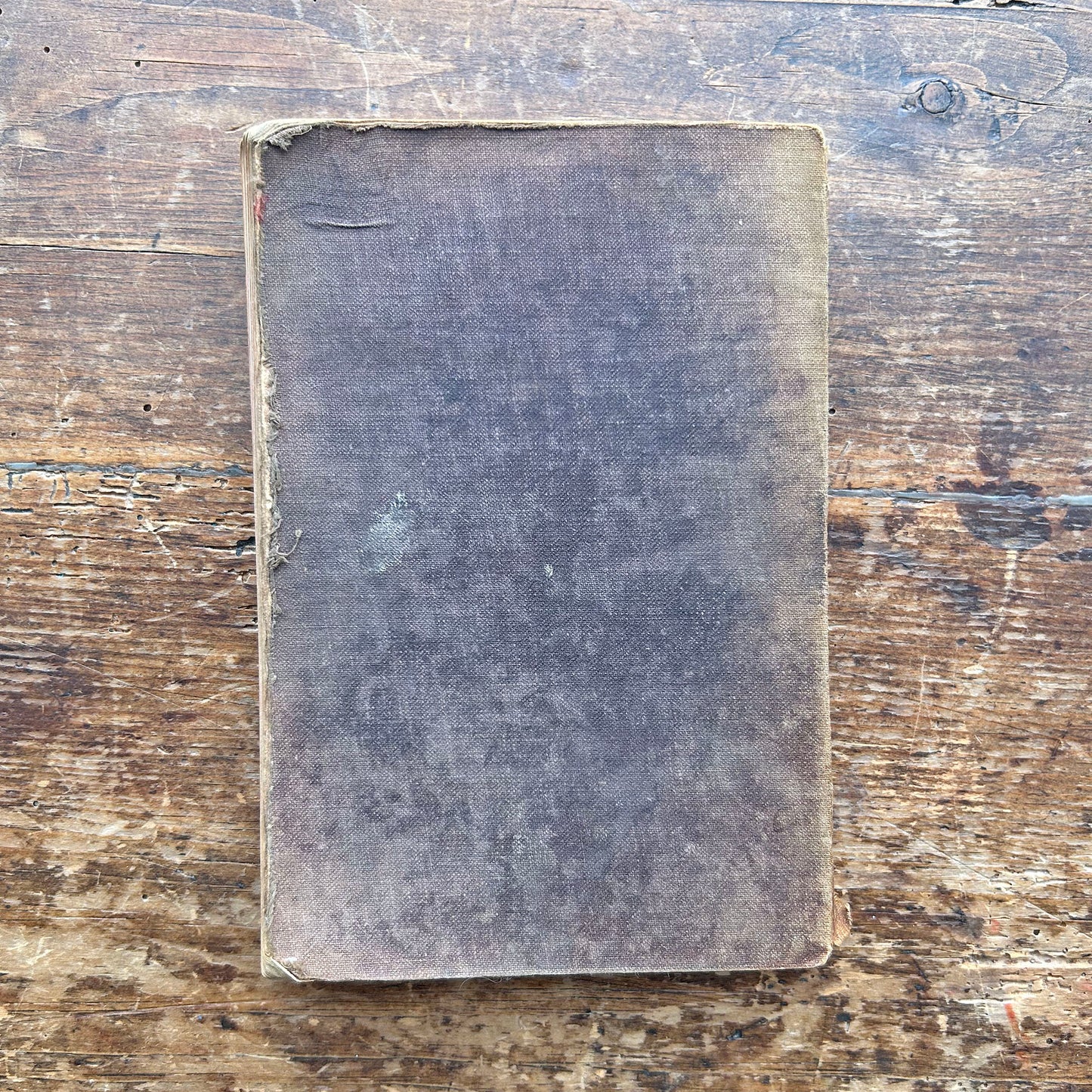 Caniedydd yr Ysgol Sul - Welsh Songs, Hymns, Organs & Anthems 1899 (Preloved)